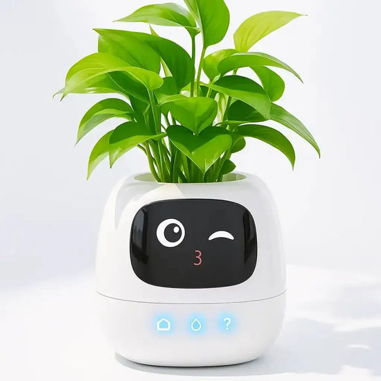 plant care