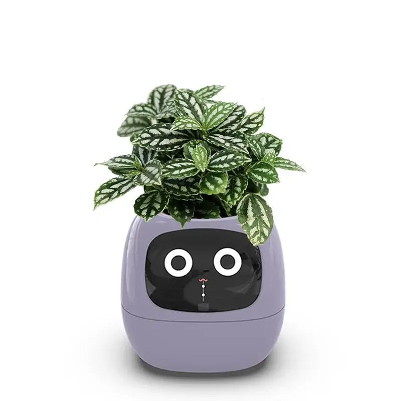 Planters
