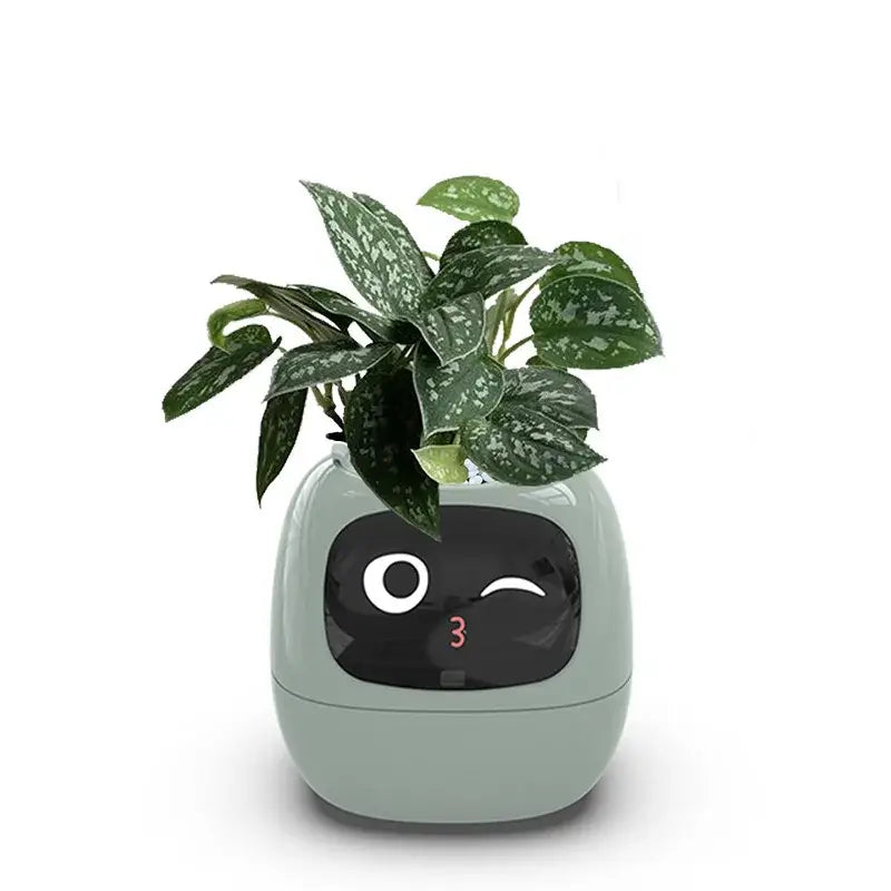 Planters