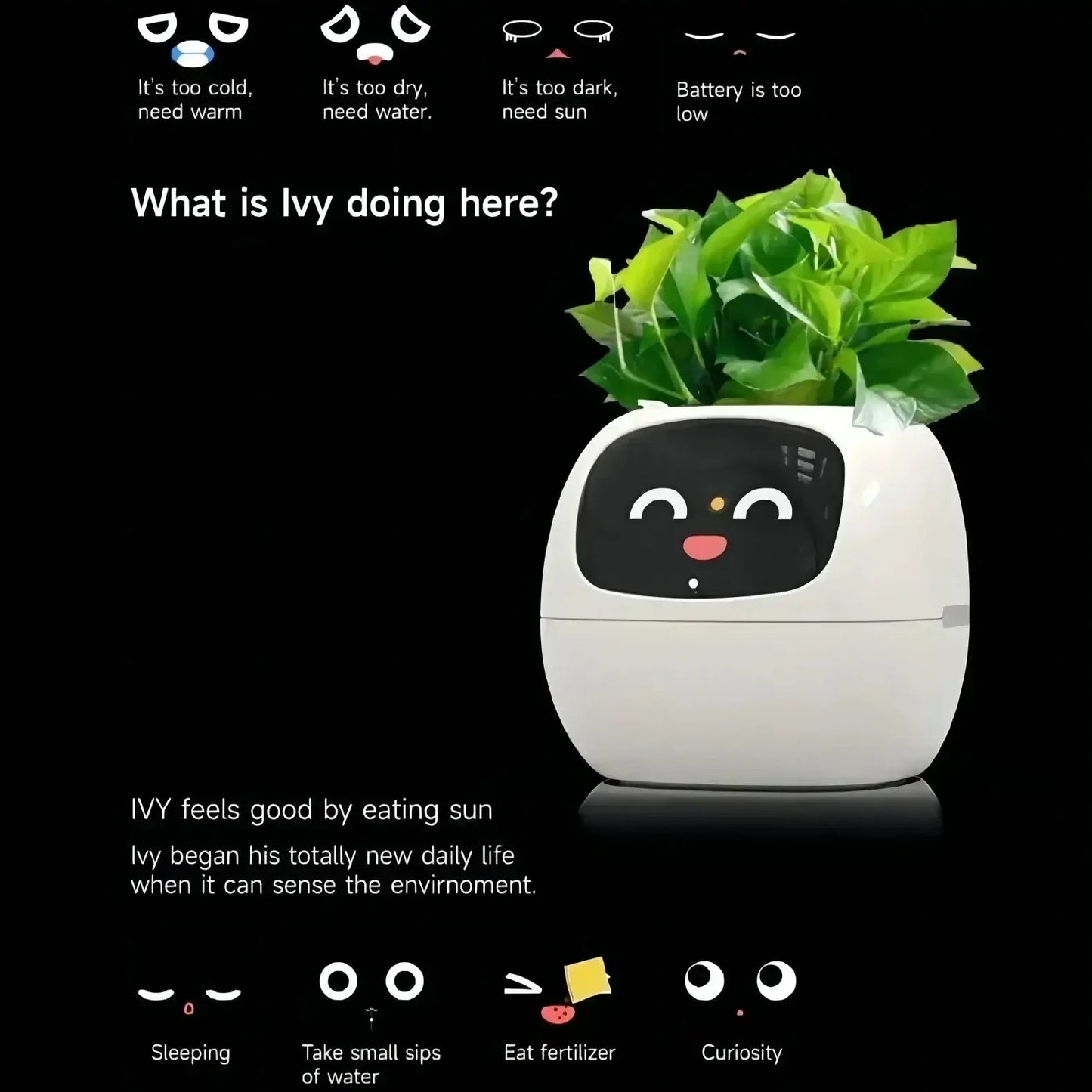 Planters