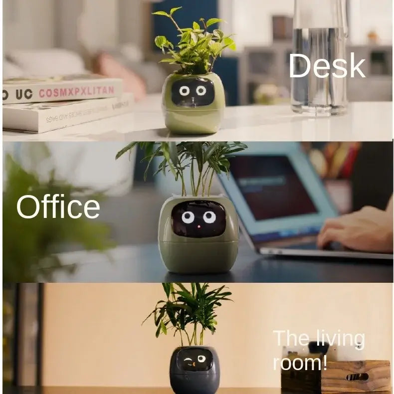 Planters