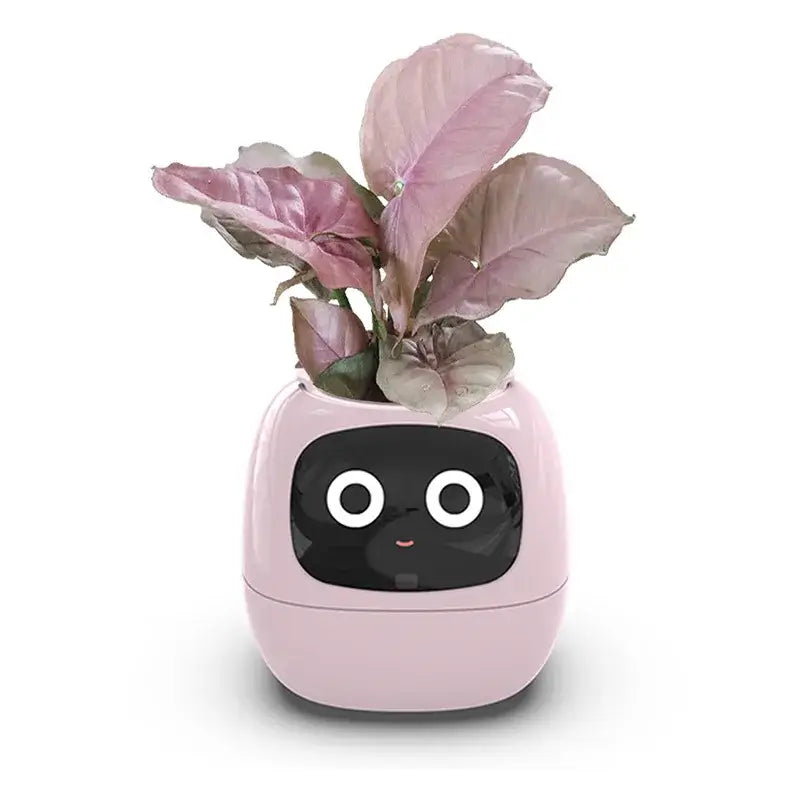 Planters