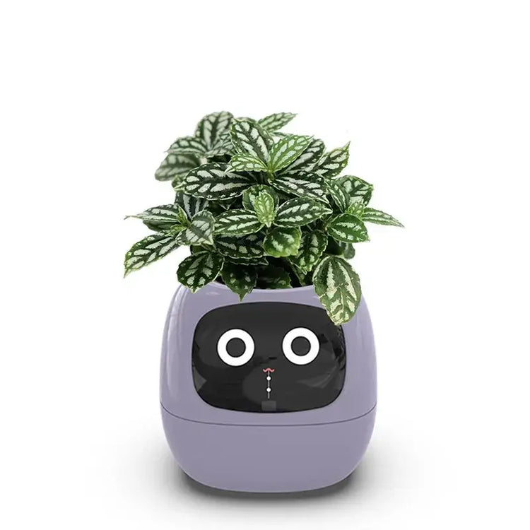 Planters