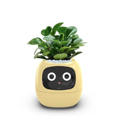 Planters