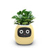 Planters