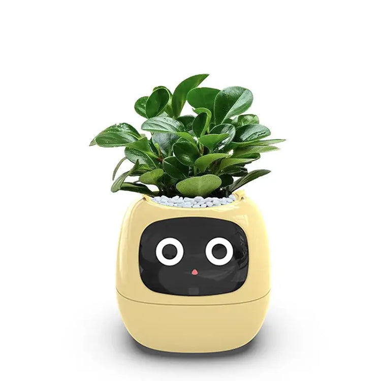 Planters