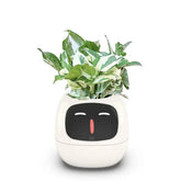 Planters
