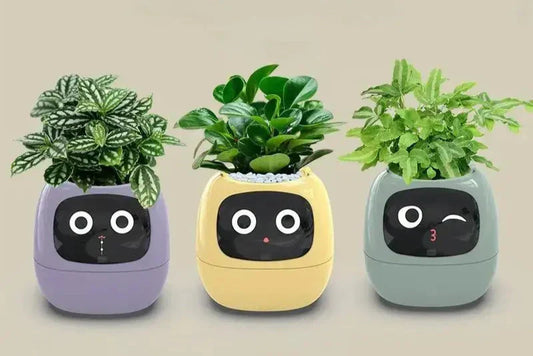 Planters