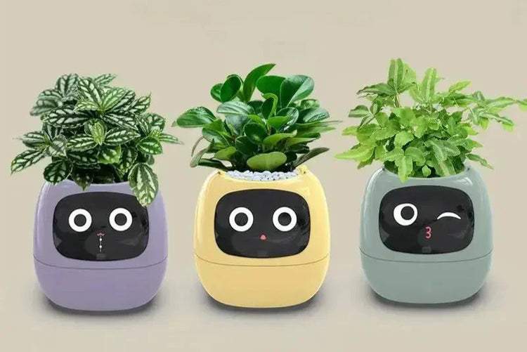 Planters