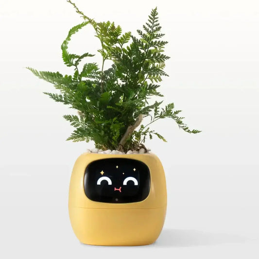 Planters